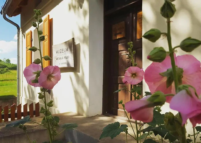 Apartment W Muzeum Michala Kajki