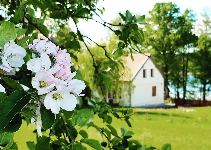 Apartment W Muzeum Michala Kajki *