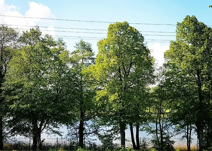 Apartment W Muzeum Michala Kajki *